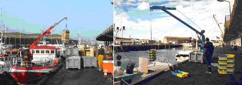 Port de pêche de Lorient, manutention effectuée par une grue embarquée et manutention par une grue à terre
