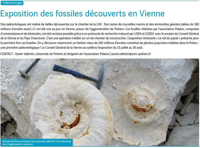 Lisea-Express_Avril_2014_Decouvertes-fossiles_86.JPG