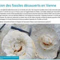 Lisea-Express Avril 2014 Decouvertes-fossiles 86