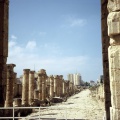 Voie romaine à Tyr au Liban
